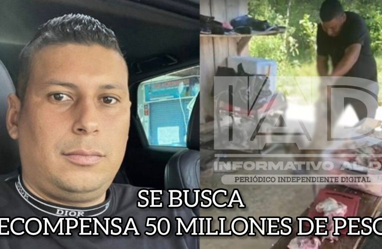 ¡Denúncielo! Millonaria recompensa por sujeto que atacó al perrito y quedó en video