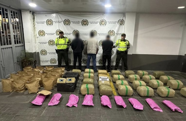 Contundente golpe al narcotráfico en vías del Tolima: tres capturados y más de 200 kilos de marihuana incautados.